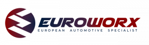 Euroworxmn colored logo